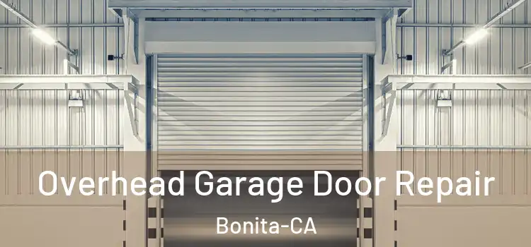  Overhead Garage Door Repair Bonita-CA